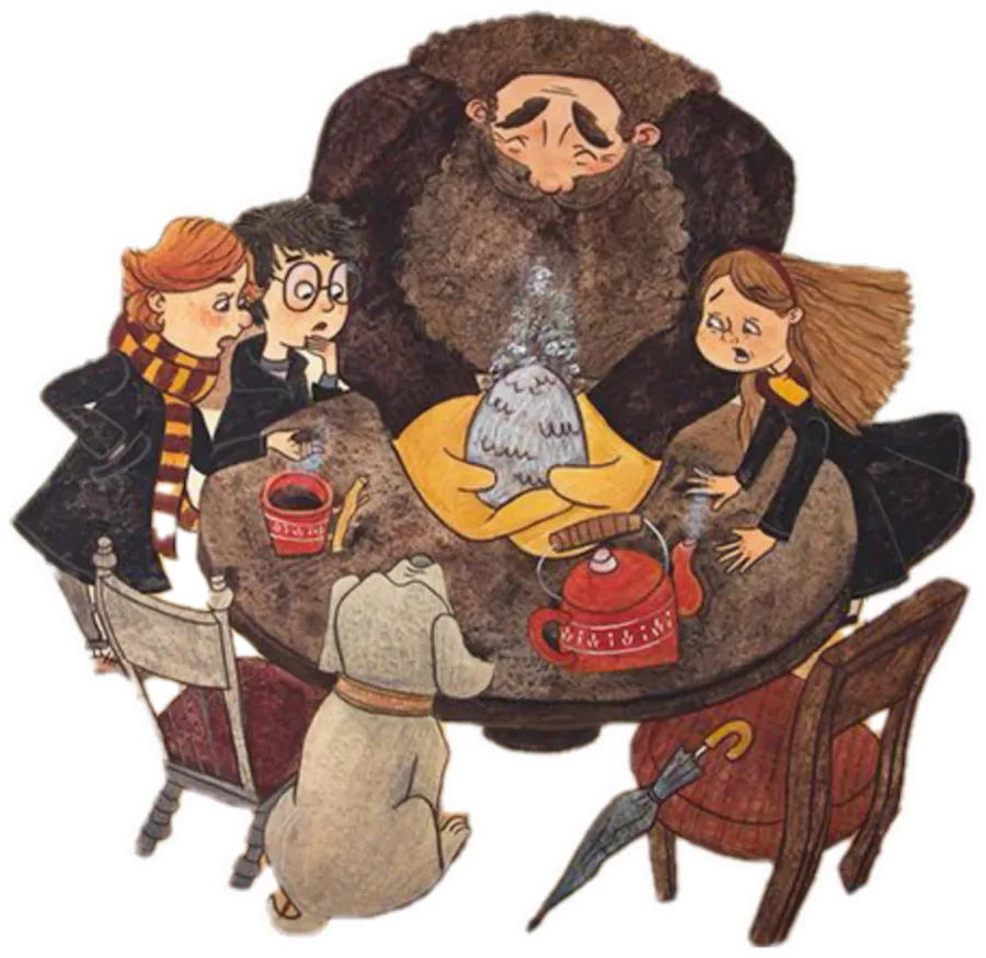 Harry Potter